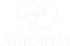 Grupo Amorim